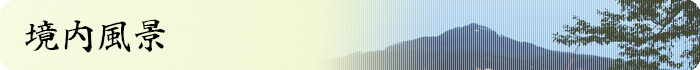 境内風景