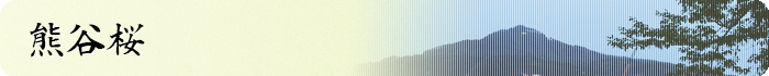 熊谷桜