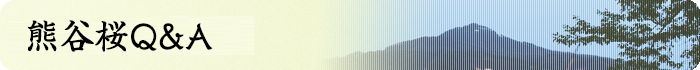 熊谷桜Q&A