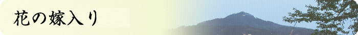花の嫁入り